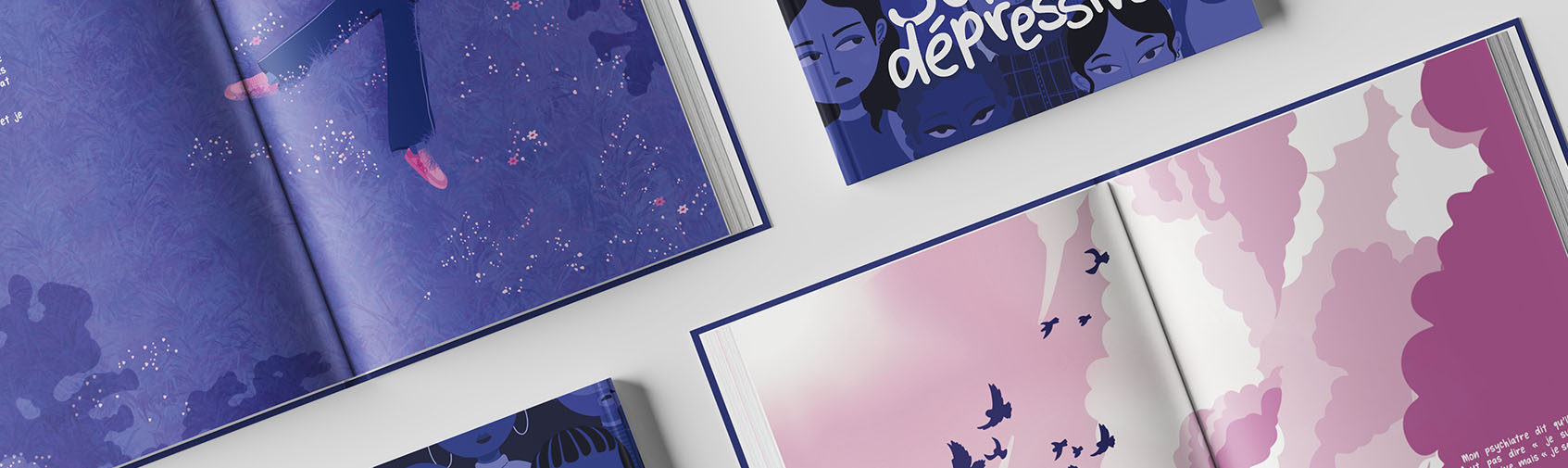 livre illustrés pour enfant, illustration de romans graphique